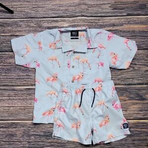 Boys Size 12 Spicy Tuna Swim Set